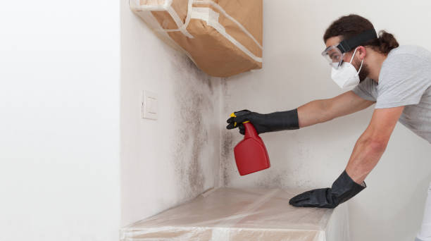 Professional Bathroom Mold Removal technician working in Portage, MI