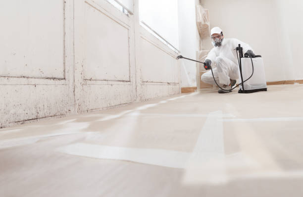 24/7 Emergency Bathroom Mold Removal experts in Portage, MI